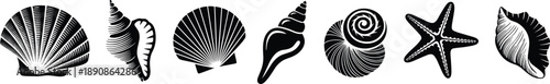 Minimal seashell and starfish icon set in black and white, marine ocean symbols illustration isolated on white background