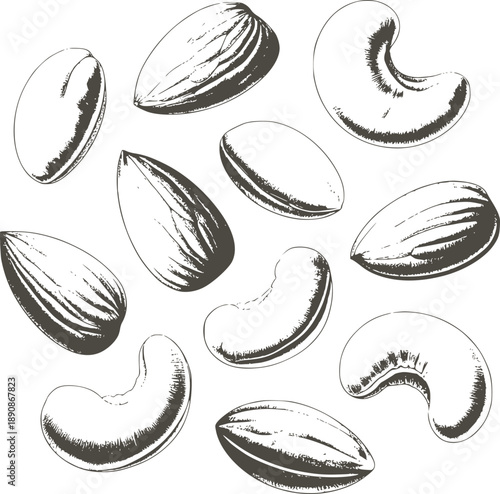 Black and pencil of various nuts and seeds texture