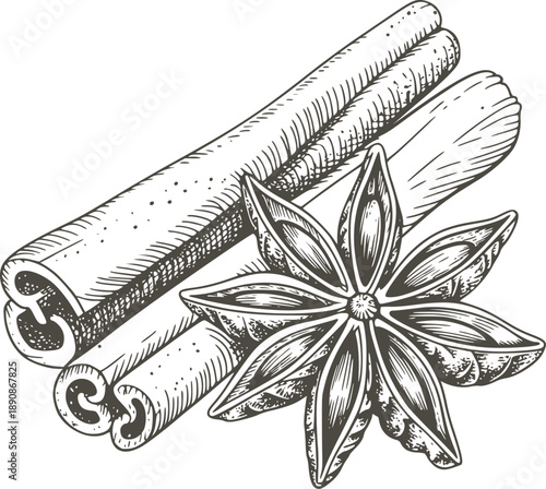 Botanical of cinnamon sticks and star anise
