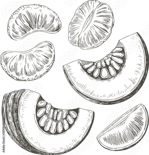 Hand Drawn Botanical of Sliced Fruits in Black and slices