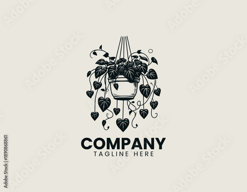 Hanging houseplant illustration displays cascading leaves in calm decorative botanical style 