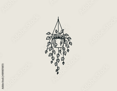 Hanging houseplant illustration displays cascading leaves in calm decorative botanical style 