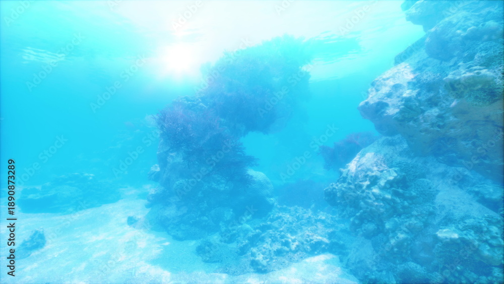 Obraz premium Underwater sunlit reef plateau with bright beams and soft sand patches, open shallow seascape offering airy, optimistic mood for travel, wellness,