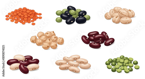 Vector illustration of various healthy legumes and beans for World Pulses Day, showcasing nutrition and food in a flat lay composition with a clean white background.