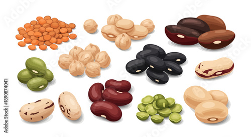 Illustration of various healthy legumes and beans for World Pulses Day, showcasing nutrition and food diversity on a white background.
