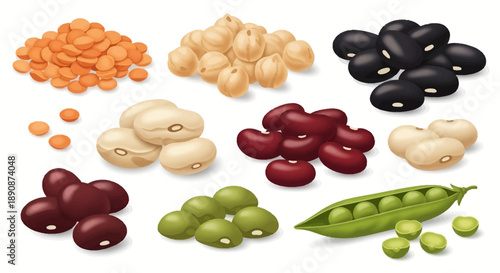 Vector illustration of various legumes for World Pulses Day, showcasing healthy food options in nutrition, including beans and peas on a white background.