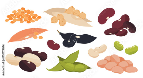 Vector illustration of various legumes and beans for World Pulses Day, showcasing healthy food options with a focus on nutrition and different types of pulses.