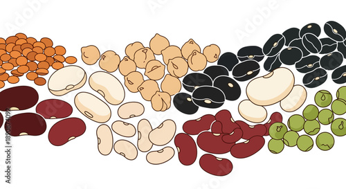 Vector illustration of various legumes and beans arranged in a colorful pattern on a white background for World Pulses Day, highlighting healthy food and nutrition.