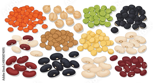 A colorful illustration of various legumes and beans for World Pulses Day, showcasing healthy food options on a white background.