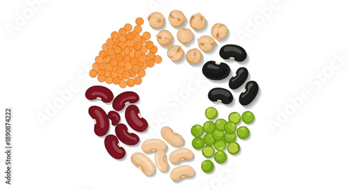 Vector illustration of various legumes arranged in a circle for World Pulses Day, showcasing healthy food and nutrition.