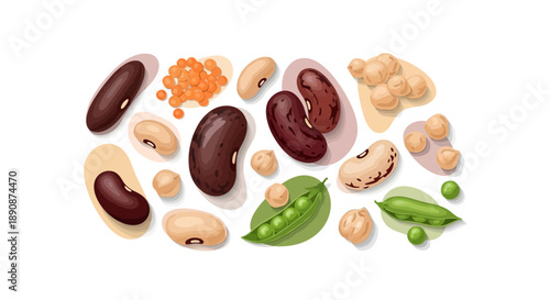 Vector illustration of various legumes and beans for World Pulses Day, showcasing healthy food options in nutrition.