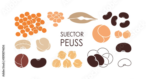 Vector illustration of various legumes and beans for World Pulses Day, highlighting healthy food and nutrition on a simple background.