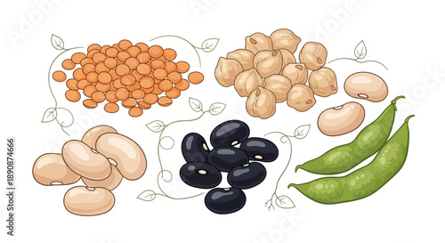 Vector illustration of various legumes for World Pulses Day, showcasing healthy food options in nutrition.