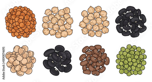 Vector illustration of various legumes and beans for World Pulses Day, showcasing healthy food options in nutrition, with a flat lay composition against a clean white background.