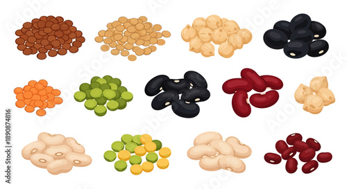 Illustration of various legumes and beans for World Pulses Day, showcasing healthy food options in a vector graphic.