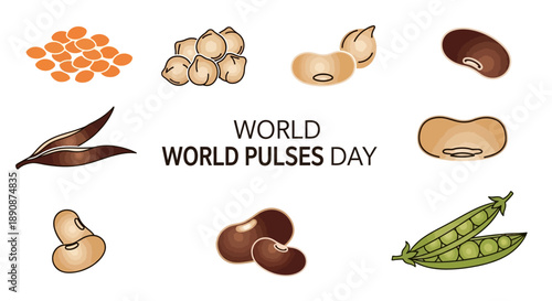 Illustration of various legumes and beans for World Pulses Day, highlighting healthy food and nutrition with a vector graphic design on a white background.