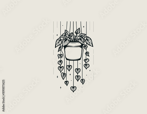 Hanging houseplant illustration displays cascading leaves in calm decorative botanical style 