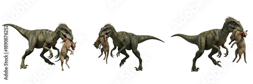 Foto Velociraptor Dinosaur Set Isolated on White Background – Realistic Prehistoric P