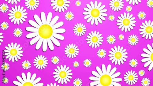 Vibrant pink background with white daisies pattern