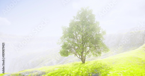 Tableau sur toile ethereal lone tree in high key meadow bathed in soft white light, diffused atmos