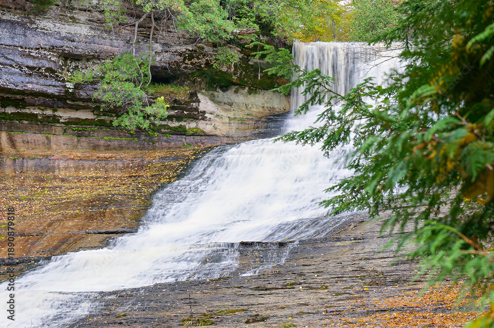 Obraz premium waterfall in the forest