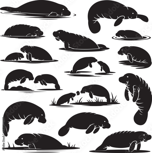 Collection of manatee silhouettes in various swimming and resting positions