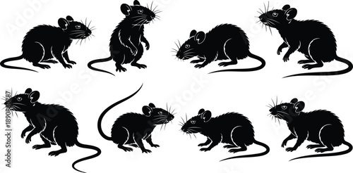 A compilation of several black rat silhouettes is presented in different stances against a white backdrop