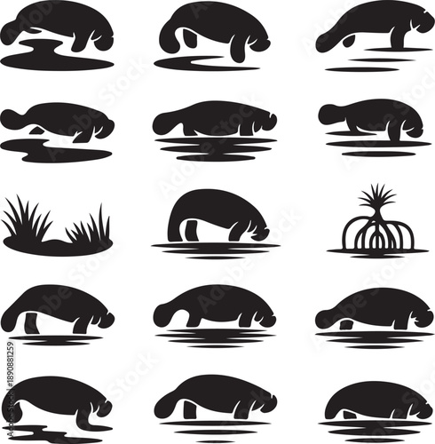 manatee silhouettes in various positions in water  sea creatures
