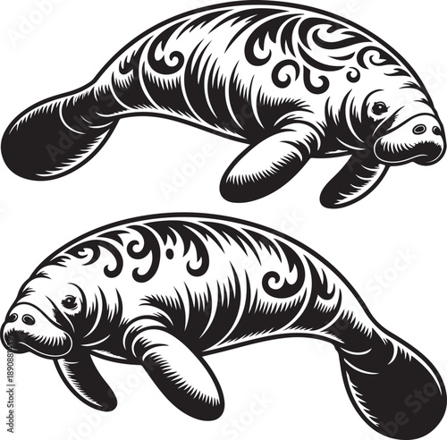 manatees with tribal tattoo designs on bodies