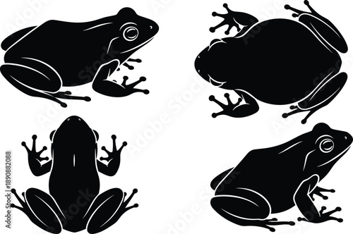 Frog silhouette illustration set, top view and side view poses, black vector frogs, nature icon, amphibian graphic design