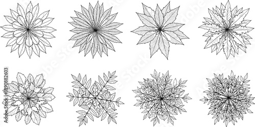 Set of eight radial botanical leaf patterns, black-and-white sketch for design, foliage study, symmetry, nature art, texture reference
