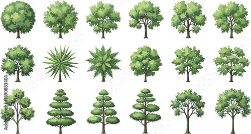 Tree illustration set, botanical diversity, stylized foliage, ornamental garden trees, palm shapes, bonsai forms, landscape design, nature concept art
