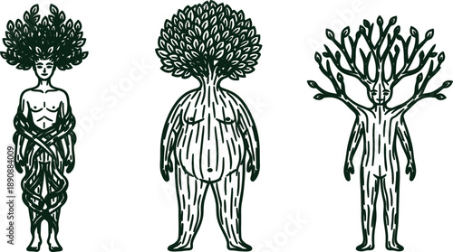 Three tree human hybrids with leafy hair and bodies made of branches and leaves standing alone