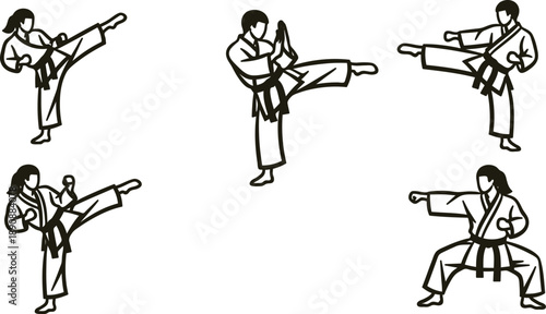 Various martial arts poses and movements in uniform with belt  different kicks and stances