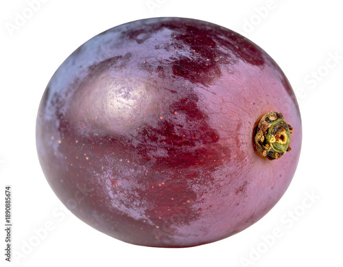 Close-up of a single, plump, deep purple grape with highlights and a textured stem