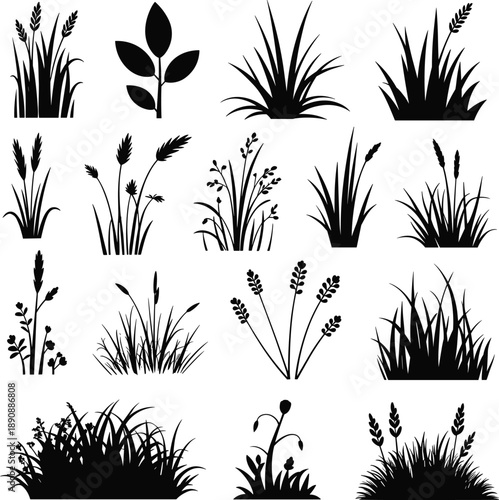 Wild grass and plant silhouette mega collection, meadow herbs and botanical foliage shapes, natural floral illustration isolated on white background