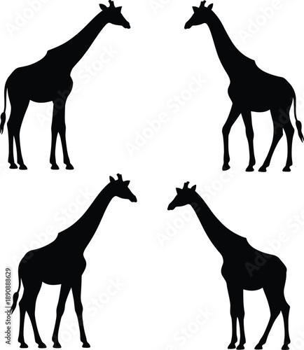 Black giraffe silhouette collection wildlife African animal icons isolated on white background for nature safari branding illustration design