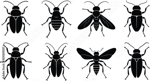 A diverse collection of eight black insect silhouettes on a clean white background showcasing different bug shapes