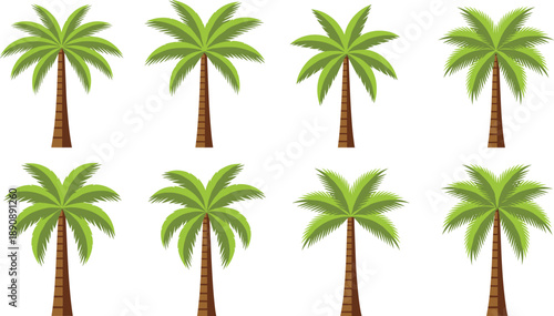 Palm Tree Vector Illustration Set with Tropical Coconut Trees in Different Shapes and Leaf Styles for Summer Beach Nature and Travel Designs