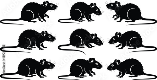 A dynamic grid of nine black rat silhouettes, some facing each other on a clean white background