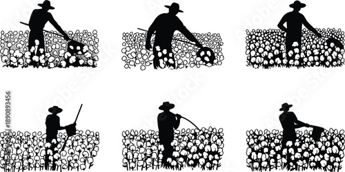 Farmer harvesting cotton crops silhouette set, agricultural field work scenes, rural farming activity, manual cotton picking, black vector illustration isolated on white