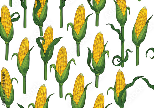 Seamless Vector Pattern of Fresh Yellow Corn Cobs with Green Husks Isolated on White Background for Agriculture and Food Design