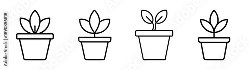Four minimalist line art potted plants icons, nature growth set.