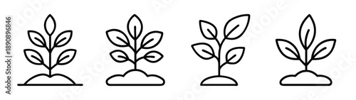 Line icons of growing plants, saplings, and seedlings in soil simple