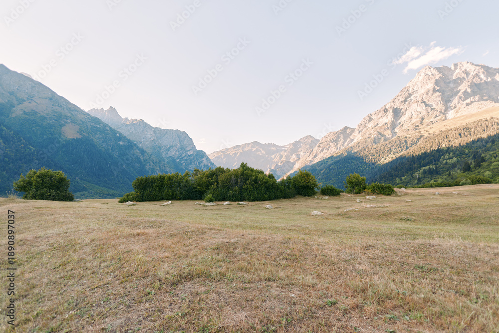 Fototapeta premium Meadow mountains valley shrubs grassland nature landscape alpine scenic outdoor view of open field with low bushes and distant sunlit peaks under clear sky for travel and calm.
