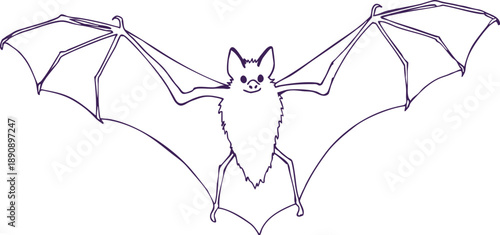 Bat Outline Drawing Illustration