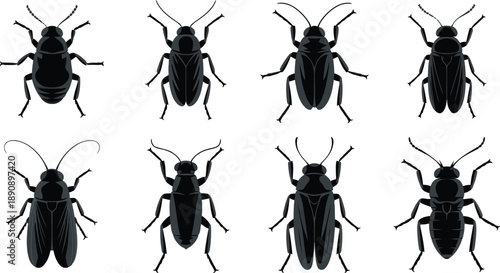 Eight grey insect silhouettes featuring different beetle and bug species appear on a clear white background