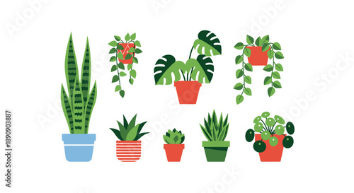Collection of various stylized potted houseplants including snake plants monsteras succulents and hanging ivy featuring vibrant green foliage in colorful containers