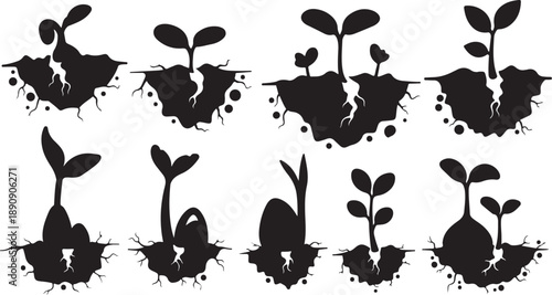 Set of black silhouettes of growing seedlings and plants