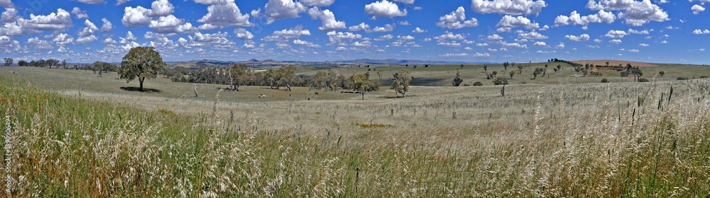 Φωτογραφία countryside New South Wales panorama  on route to Gundagi, Australia